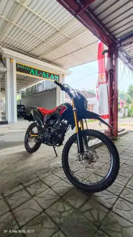 honda cfr 2024 low km