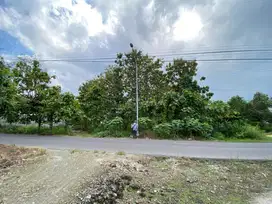 Dijual Tanah Pinggir Jalan SHM 8074 m2 di Bojonegoro