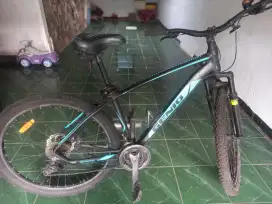 Sepeda Genio M 541