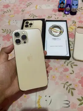 Iphone 13 Pro Max 256Gb Inter