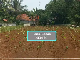 TANAH MURAH DAN DATAR STRATEGIS DI DESA CANDALI KABUPATEN BOGOR