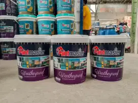 Cat Tembok Paintmaster 20kg