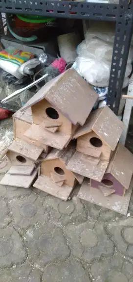 Di jual Glodok Burung untuk bertelur