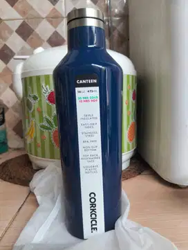 Corkcicle Canteen