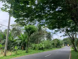 Tanah Pinggir jalan Jalur Lingkar selatan Ciamis