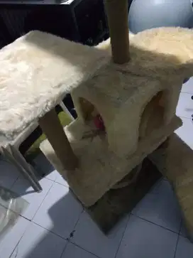 Perlengkapan kucing