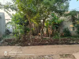 Jual cepat tanah kebun