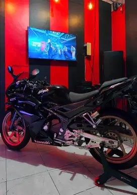 Kawasaki Ninja RR Super Kips 2012