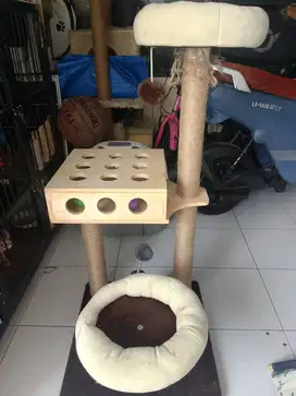 Peralatan kucing