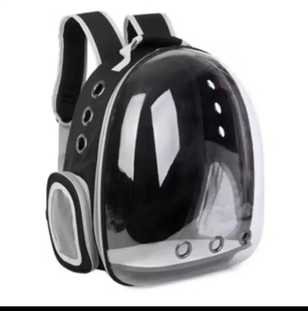 Tas kucing astronot