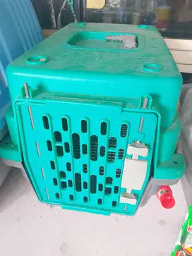 Perlengkapan kucing