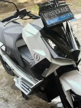 Alva cervo 2023 low odo