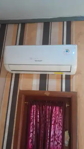 AC Sharp 1/2 Pk
