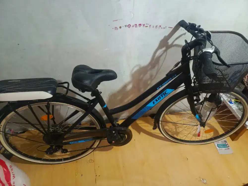 Sepeda exotic 26