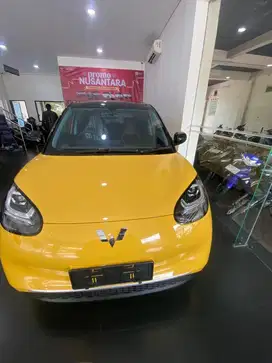 New Binguo EV 333 Km