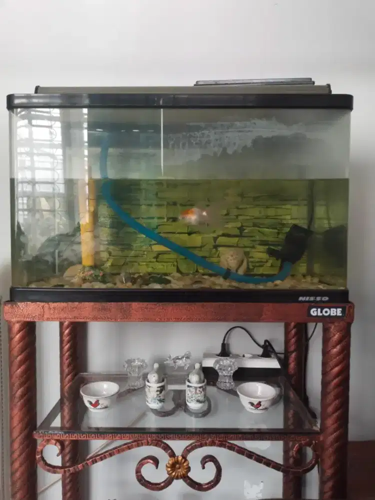 Aquarium Ikan 1 set