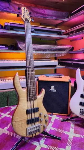 Cort Artisan A6 plus 6 senar