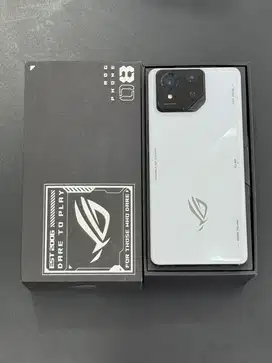 Asus Rog 8 Grey 12/256Gb