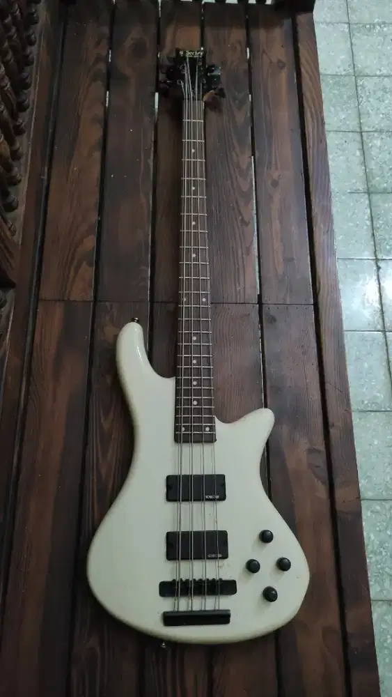 bass schecter 8 string