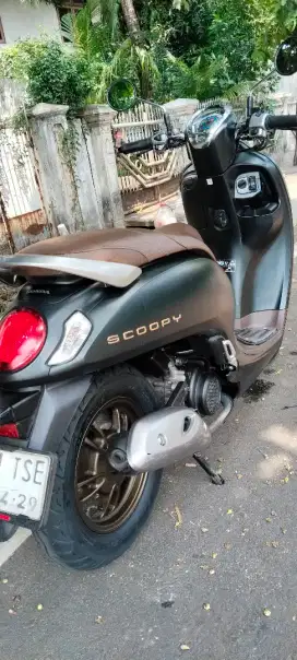 Dijual Scoopy Prestige hitam doff 2024 khusus pemakai no pedagang