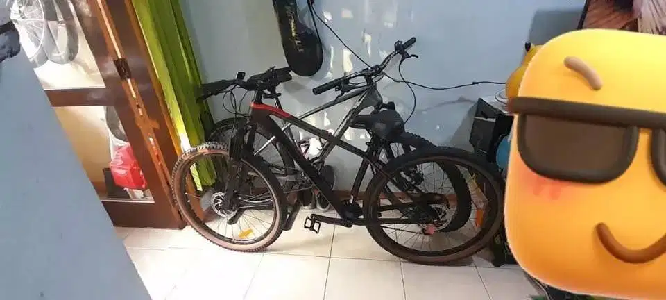 Sepeda Carbon Pacific Stinger 8.0 dan  Armour DX
