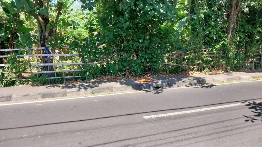 Disewakan Tanah di Jalan Pemelisan Kedongan Dekat Pantai