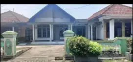 Disewakan rumah halaman besar