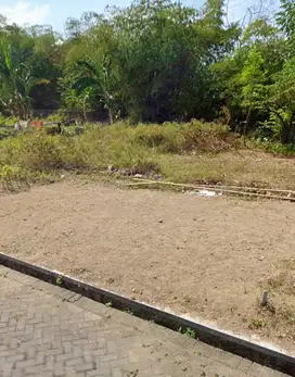 TANAH LUAS 84 JALAN JAWA JEMBER