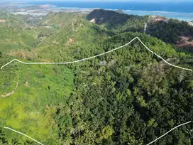 Tanah murah di Kuta Mandalika Lombok.. Cocok utk villa atau investasi