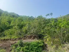 Tanah disewakan dekat pantai lancing dan tampah lombok