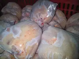 Jual ayam frozen dan fresh bisa antar depan rumah tanpa ada minimal or
