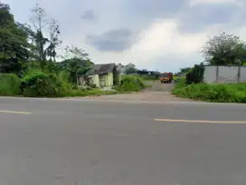 Sewa & Kontrak Tanah Pinggir Jalan Raya Luas 6000 m Dekat Tol Serang