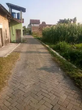 Tanah Pekarangan di jl. Kabupaten dalam ringroad Dekat RSA. UGM, SKE