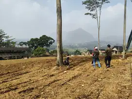 Jual cepat tanah kavling view indah SHM sekitar jakarta depok cibubur