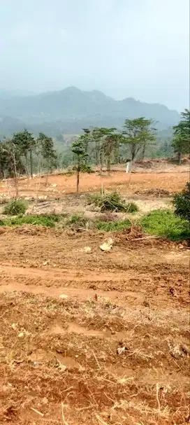 Jual Tanah Ketinggian 500 MDPL Udara Sejuk Bebas Polusi Deket jakarta