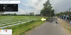 Tanah SHM Pinggir Jalan Sumberjo Kandat Kediri Dijual Murah cepat B.U