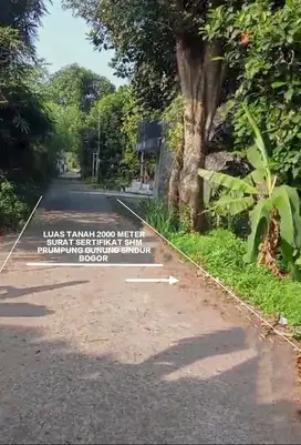 TANAH MURAH TANAH KEBUN STRATEGIS DI GUNUNG SINDUR BOGOR
