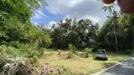 Tanah Sleman Kota Belakang Kantor BPN