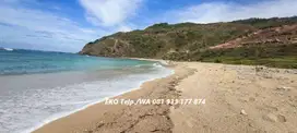 Dijual Tanah Tepi Pantai di Pantai Are Guling Lombok