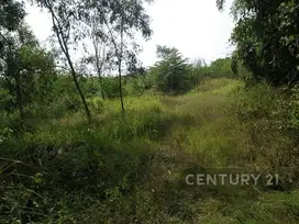 Tanah Industri Dan Komersial SHM Di Jl Cikarang Cibarusah, Cikarang