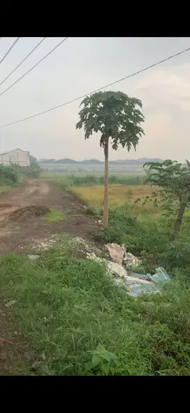 DIJUAL TANAH INDUSTRI RAYA LEGUNDI 1 MENIT DARI EXIT TOL KRIAN