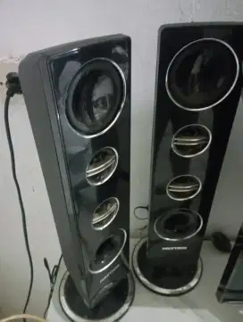 Speaker pasif polytron