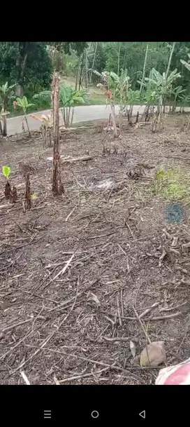 di jual tanah view sawah akses jalan lebar di cikalong kulon cianjur
