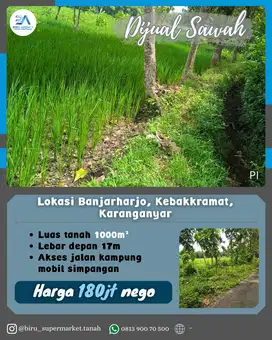 Tanah Sawah Dengan Akses Jalan Kampung