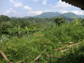 Dijual murah Tanah di Desa Sukaharja Kecamatan Sukamakmur Bogor Timur,