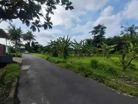 Pekarangan Murah Seyegan; View Sawah Cocok Pensiunan