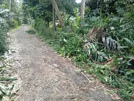 Harga tanah purbalingga, 278 RIBU permeter