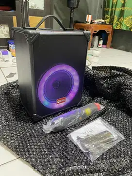 Speaker Mic Wireless