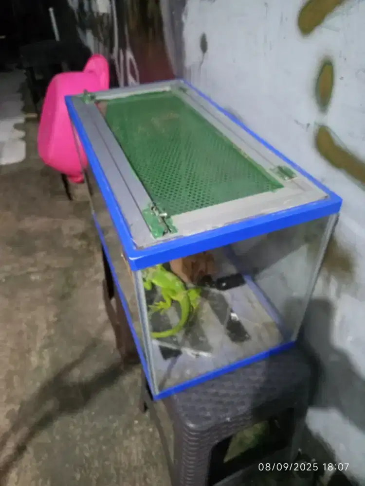 Jual Gex masih layak. Ukuran 60.