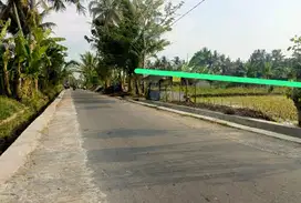 Tanah 1190m  pakem sleman jl palagan